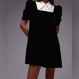 And Other Story Elegant Black Dress with White Collar